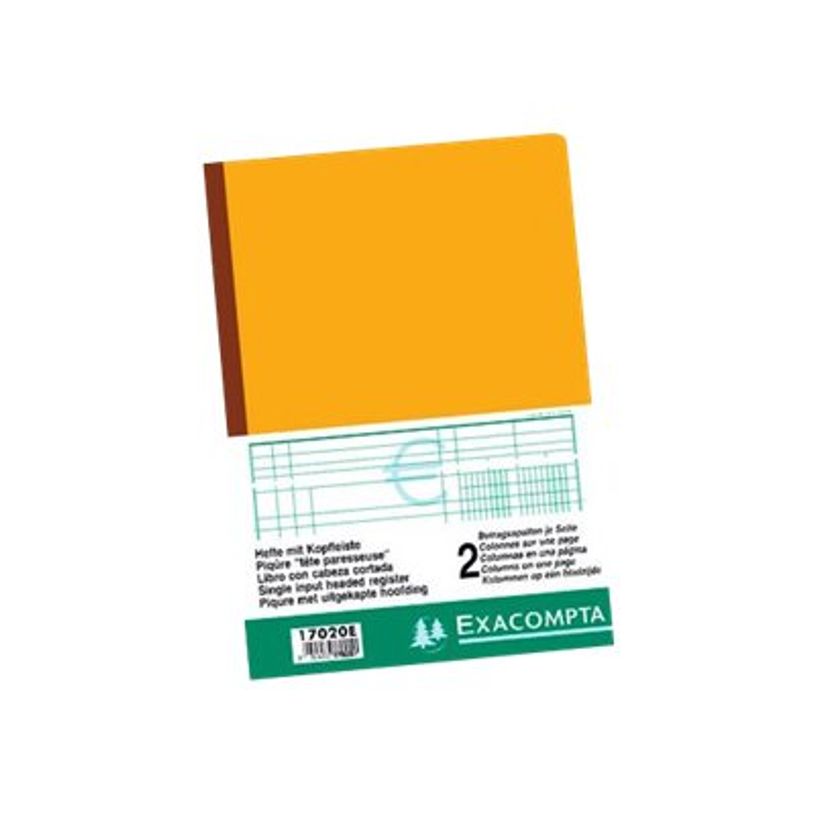 3130632170202-Exacompta - Piqûre à tête paresseuse - 2 colonnes sur 1 page - 29,7 x 21 cm - 80 pages-P_400005515_1-0