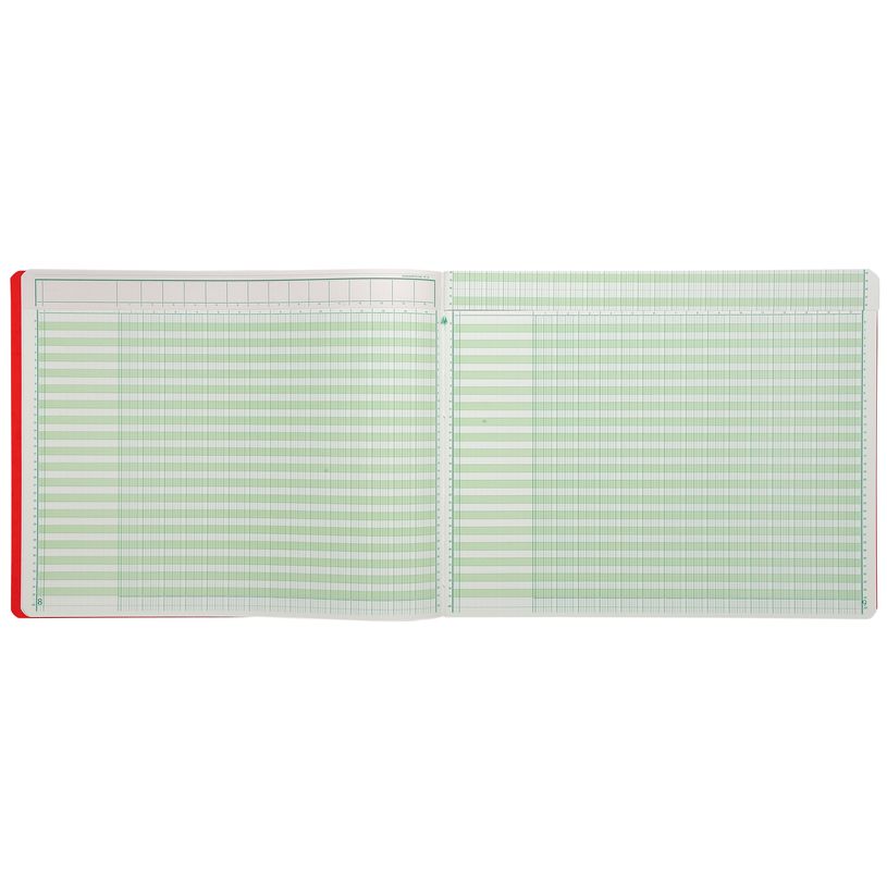 3130632181505-Exacompta - Piqûre à tête paresseuse - 15 colonnes sur 1 page - 29,7 x 38 cm - 80 pages-P_400005520_6-5