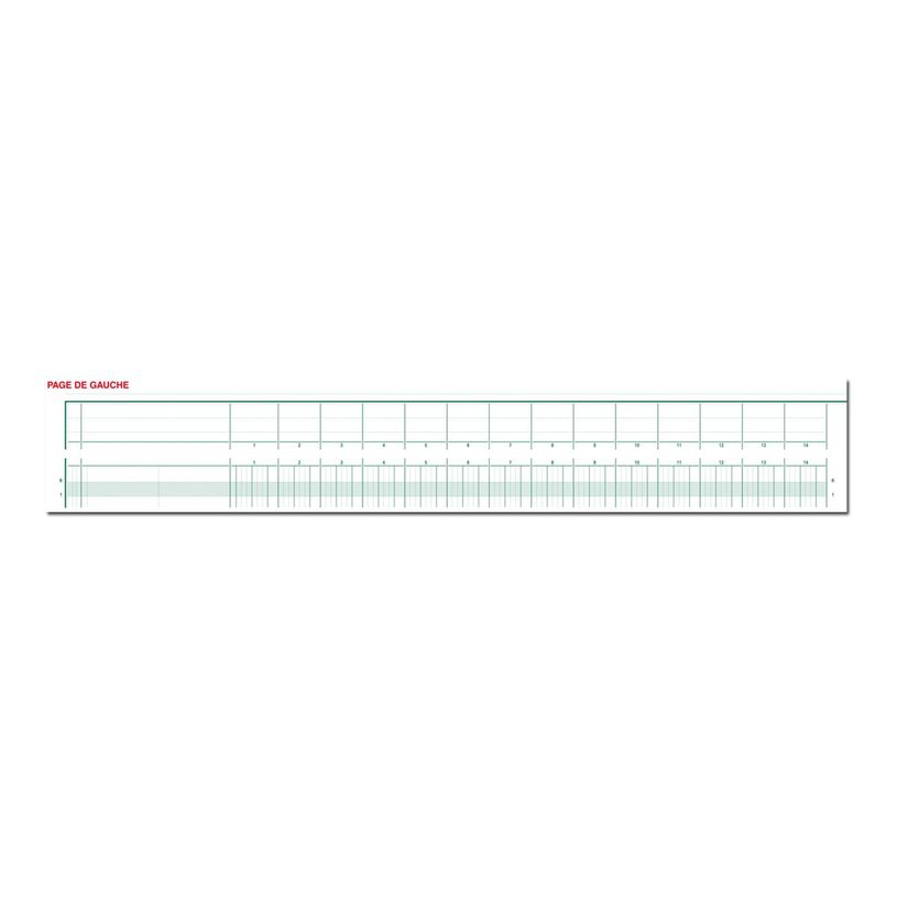 3130632183103-Exacompta - Piqûre à tête paresseuse - 32 colonnes sur 2 pages - 29,7 x 38 cm - 80 page-P_400005522_1-0