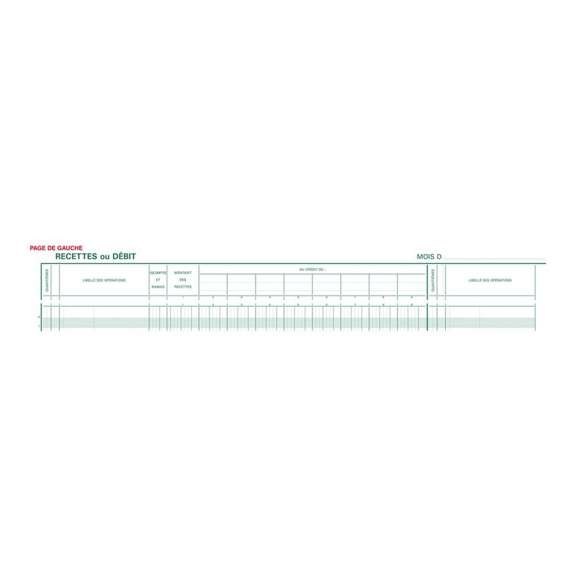 3130632196103-Exacompta - Journal de caisse ou banque - 17 débits/9 crédits - 29,7 x 38 cm - 80 pages-P_400005523_1-0