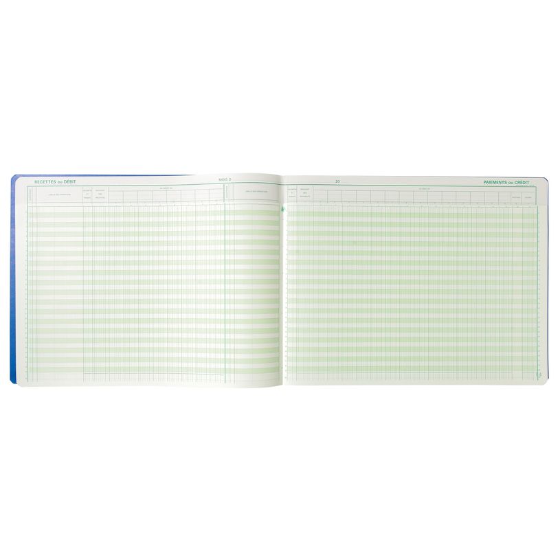 3130632196103-Exacompta - Journal de caisse ou banque - 17 débits/9 crédits - 29,7 x 38 cm - 80 pages-P_400005523_6-5