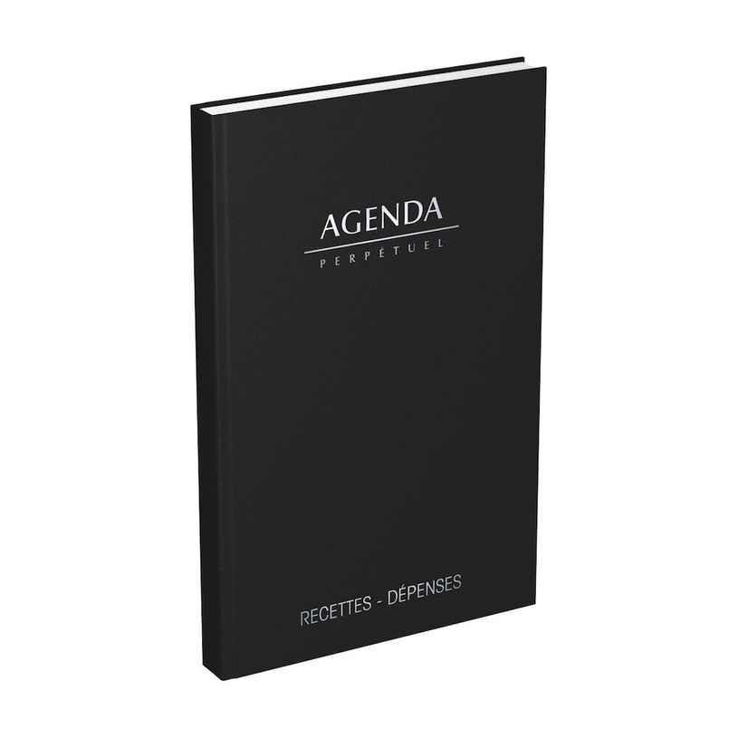3147280114496-Agenda perpétuel Lecas Recettes-Dépenses - 1 jour par page - 14 x 22 cm - disponible dan-P_400009513_4-3