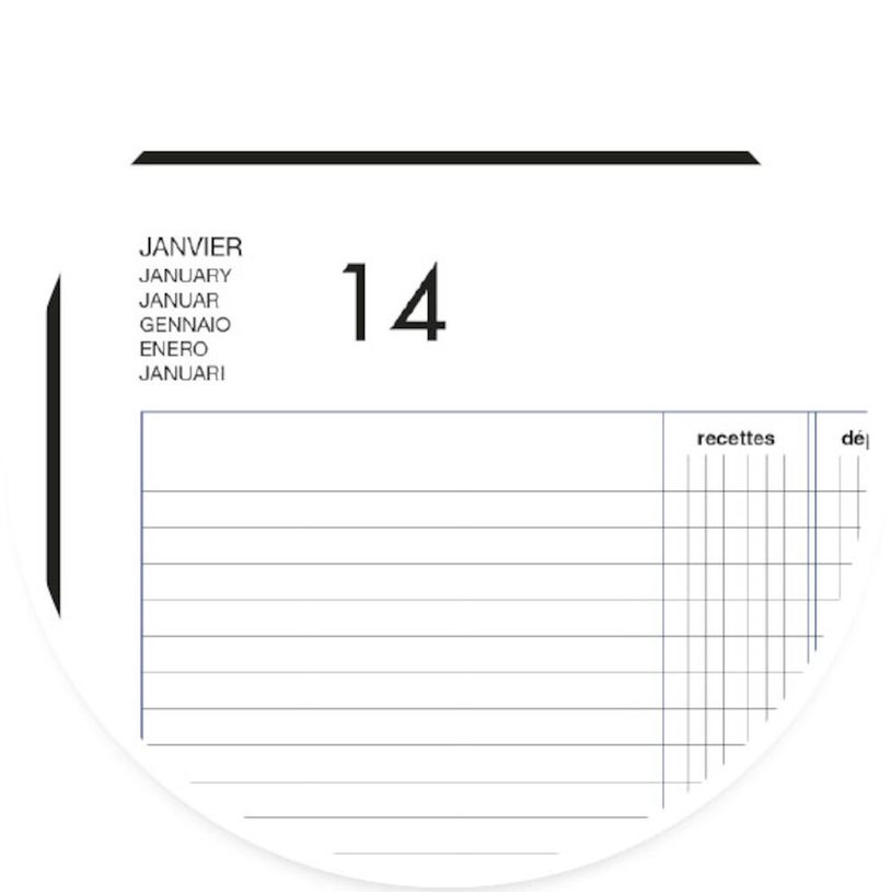 3147280114496-Agenda perpétuel Lecas Recettes-Dépenses - 1 jour par page - 14 x 22 cm - disponible dan-P_400009513_8-7