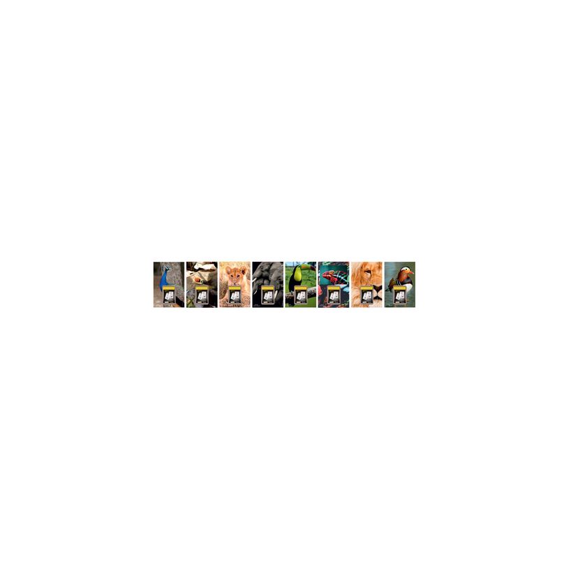 3147280114656-Lecas Wild - Plaque avec bloc éphéméride humoristique - 17 x 25 cm - disponible dans di-P_400009514_1-0