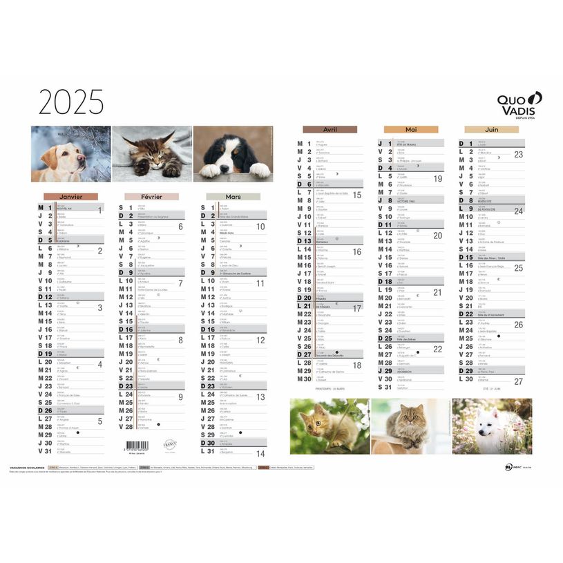 3371010469253-Quo Vadis - Calendrier Fantaisie 6 mois par face - 55 x 40,5 cm - animaux-P_400009723_1-0