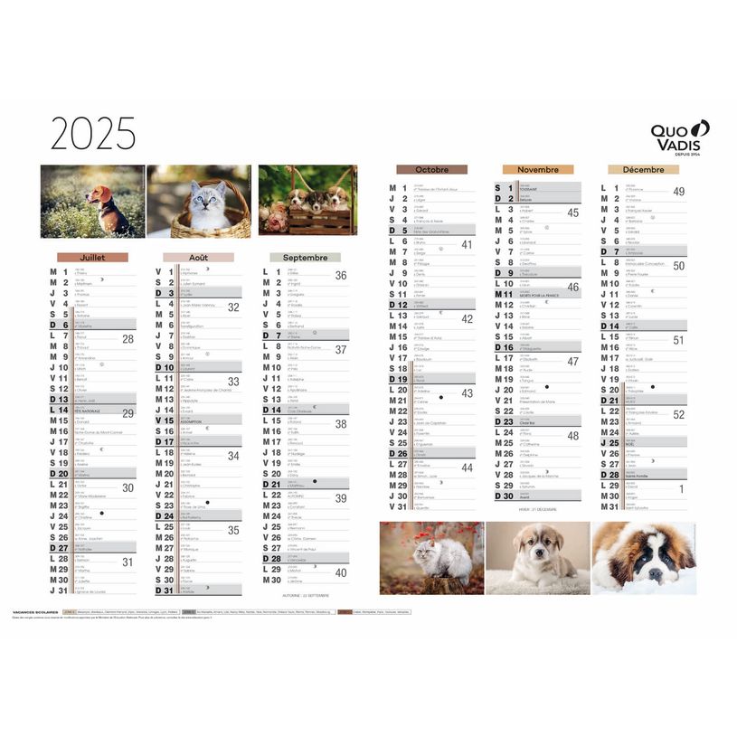 3371010469253-Quo Vadis - Calendrier Fantaisie 6 mois par face - 55 x 40,5 cm - animaux-P_400009723_2-1