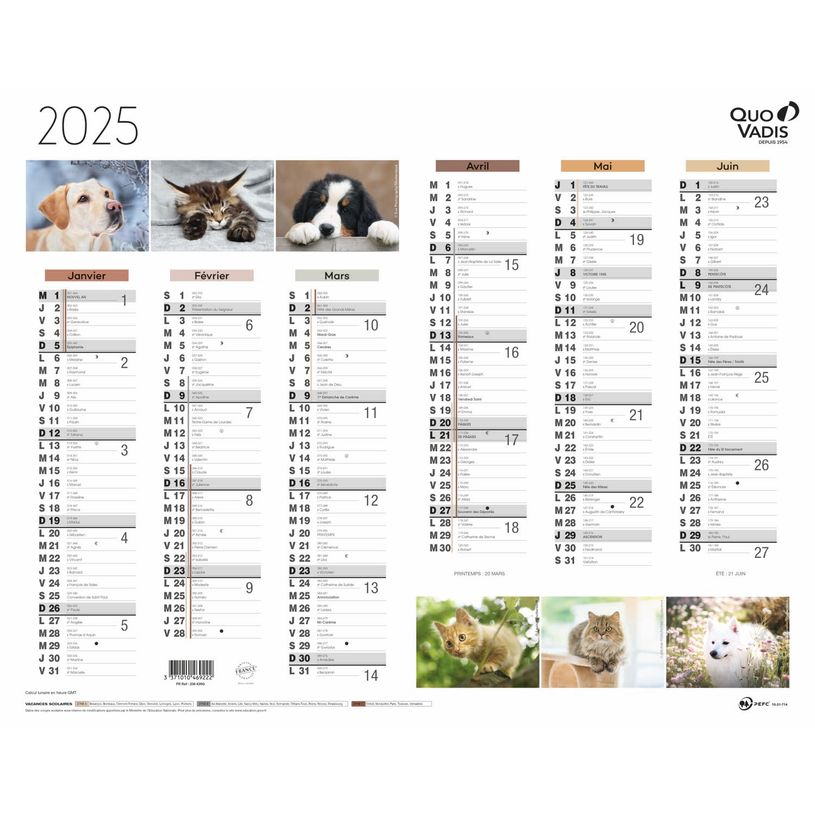 3371010469222-Quo Vadis - Calendrier Fantaisie 6 mois par face - 43 x 33,5 cm - animaux-P_400009726_1-0