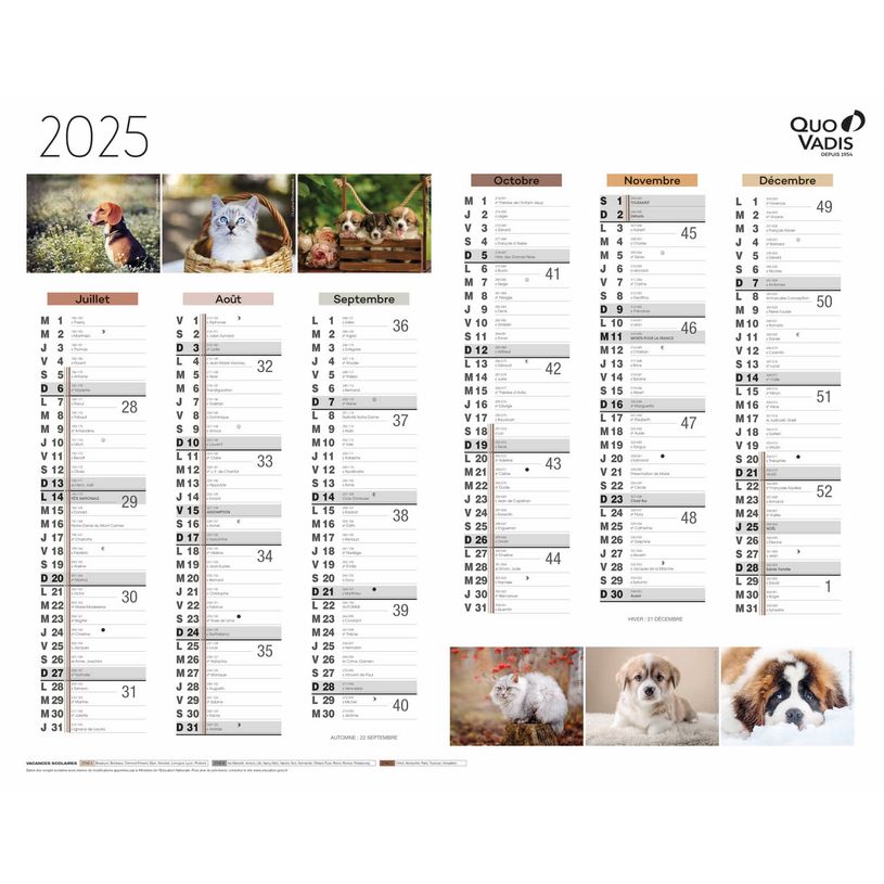 3371010469222-Quo Vadis - Calendrier Fantaisie 6 mois par face - 43 x 33,5 cm - animaux-P_400009726_2-1