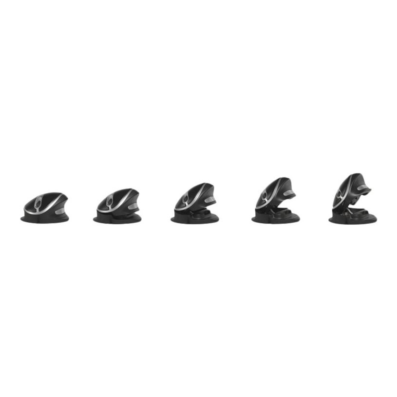 8717399998130-Bakker Elkhuizen Oyster - souris sans fil ergonomique - grande taille-P_400009819_8-3