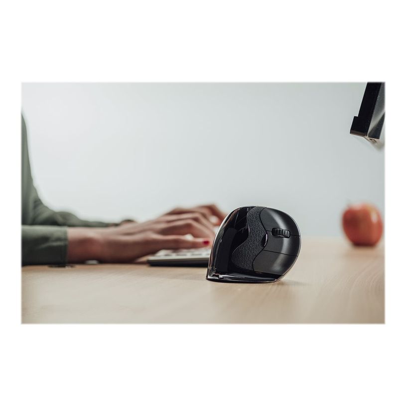 8719274674474-Bakker Elkhuizen Evoluent D - souris ergonomique sans fil pour droitier - grande taille-P_400009843_4-8