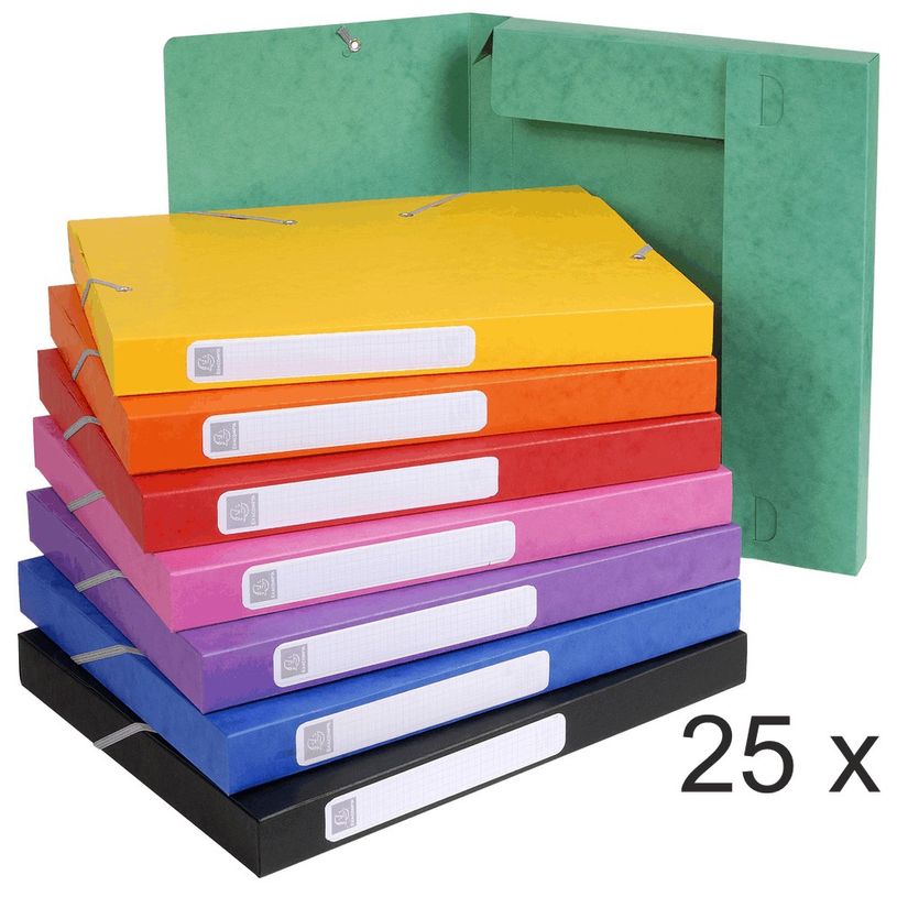 3141879001853-Exacompta - 25 Boîtes de classement en carte lustrée - dos 25 mm - couleurs assorties (l-P_400010543_1-0