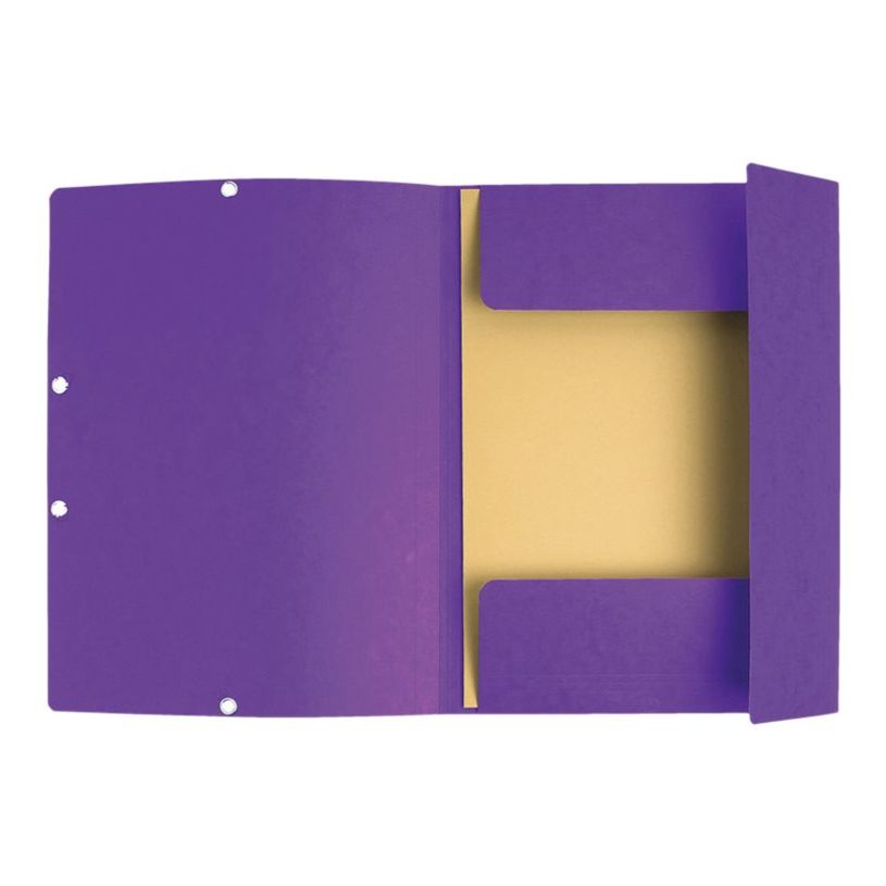 3130632554088-Exacompta - 25 Chemises à 3 rabats imprimées - A4 - violet-P_400011056_2-1