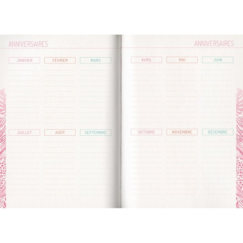 3592930019636-Agenda broché Python - 1 jour par page - 12,5 x 17,5 cm - Bouchut-P_405114206_11-10