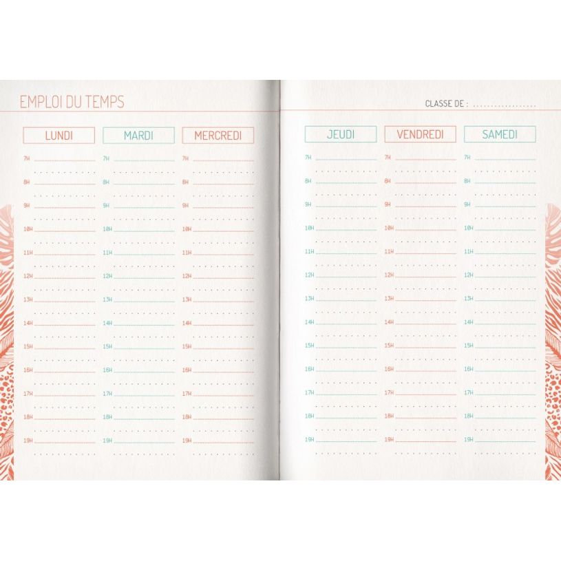 3592930019636-Agenda broché Python - 1 jour par page - 12,5 x 17,5 cm - Bouchut-P_405114206_4-3