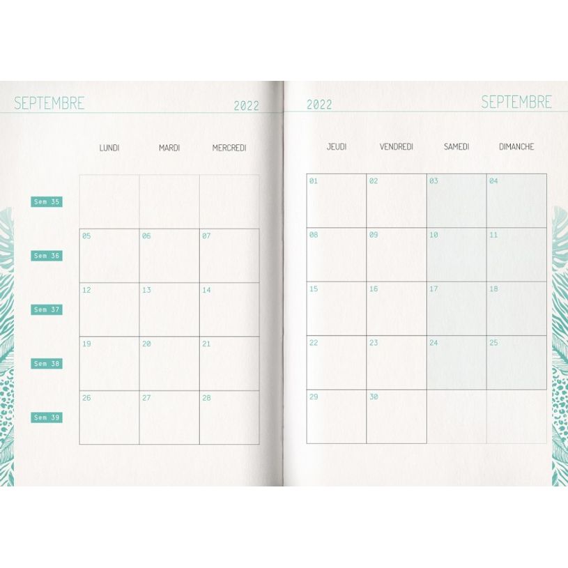 3592930019636-Agenda broché Python - 1 jour par page - 12,5 x 17,5 cm - Bouchut-P_405114206_7-6