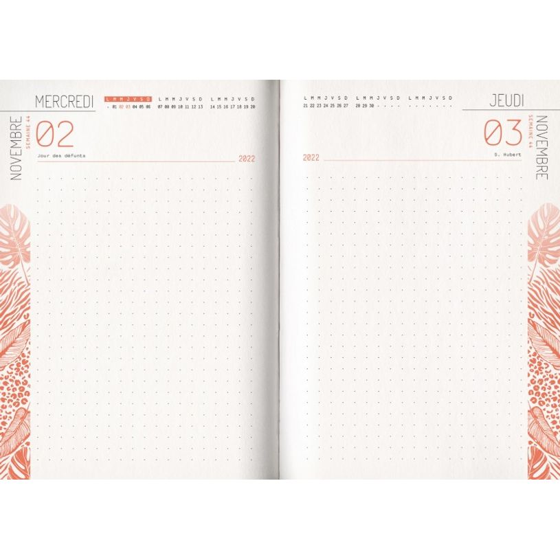 3592930019636-Agenda broché Python - 1 jour par page - 12,5 x 17,5 cm - Bouchut-P_405114206_9-8