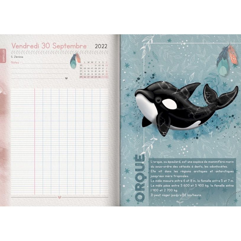 3592930019568-Agenda Snow friends Ours - 1 jour par page - 12,5 x 17,5 cm - Bouchut-P_405114213_10-9