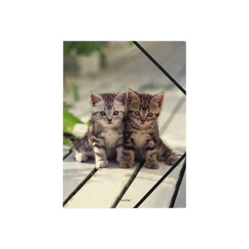 3664447114828-oberthur CHATONS TWINS - chemise à 3 rabats - pour A4-P_405114673_1-0