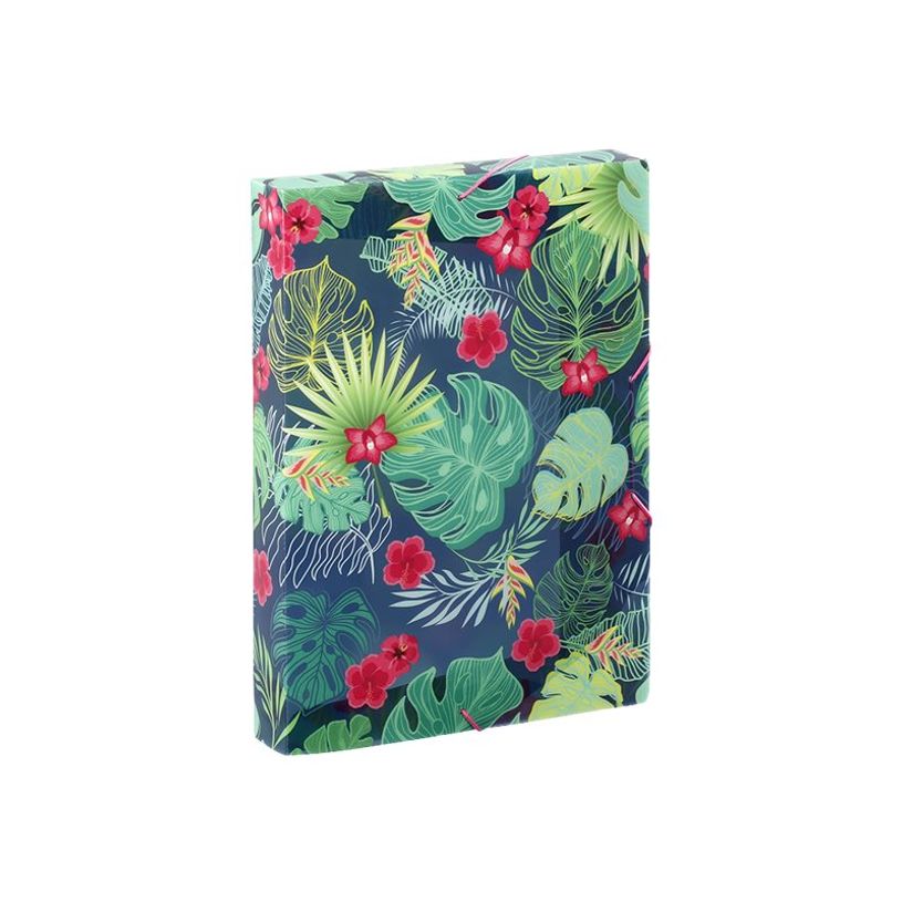 3135252218716-Viquel Tropical - Boîte de classement plastique - dos 45 mm - bleu ou noir-P_405115593_2-1