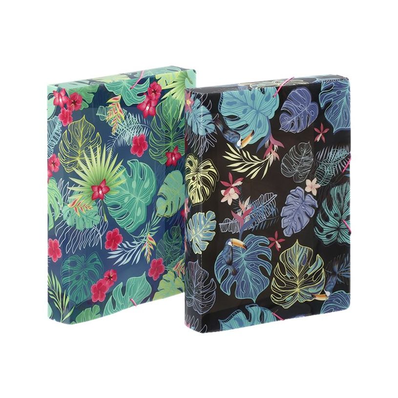 3135252218716-Viquel Tropical - Boîte de classement plastique - dos 45 mm - bleu ou noir-P_405115593_3-2