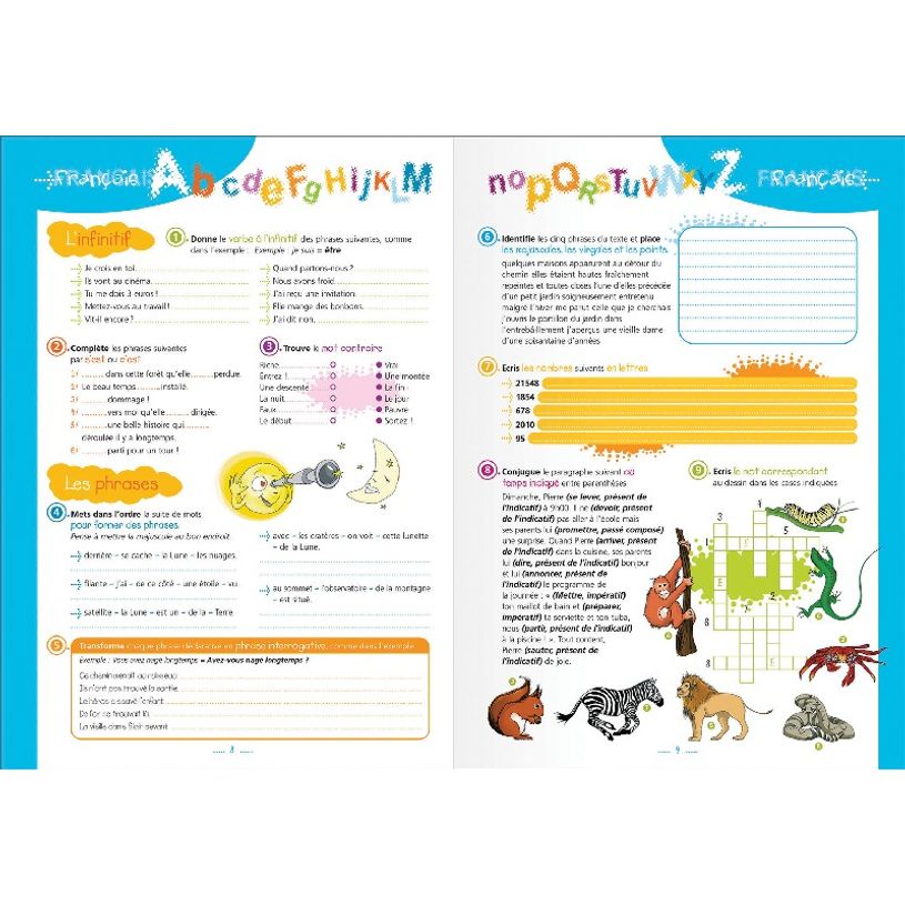 3147280096372-Cahier de textes Oxford Funny Pets - 15 x 21 cm - chat - Hamelin-P_405115710_7-6