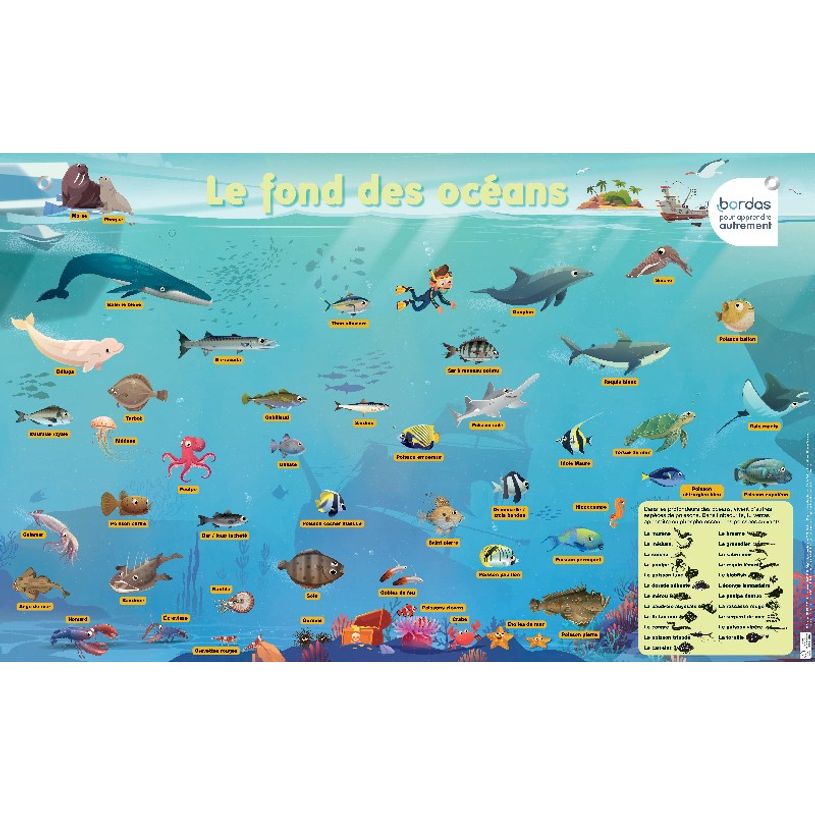 3133097359687-Les Posters Phosphorescents : Le fond des océans-P_405116301_1-0