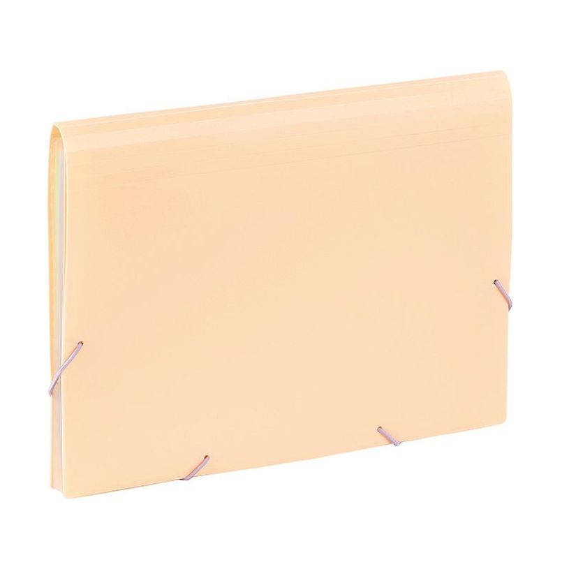 3135250111156-Viquel Rainbow Pastel - trieur à soufflet - pour A4 - à onglets - disponible en différe-P_405118850_6-4