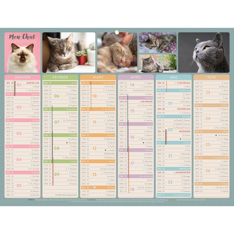 3592930026740-Bouchut Chats - Calendrier bancaire 6 mois par face - 32 x 42 cm--0