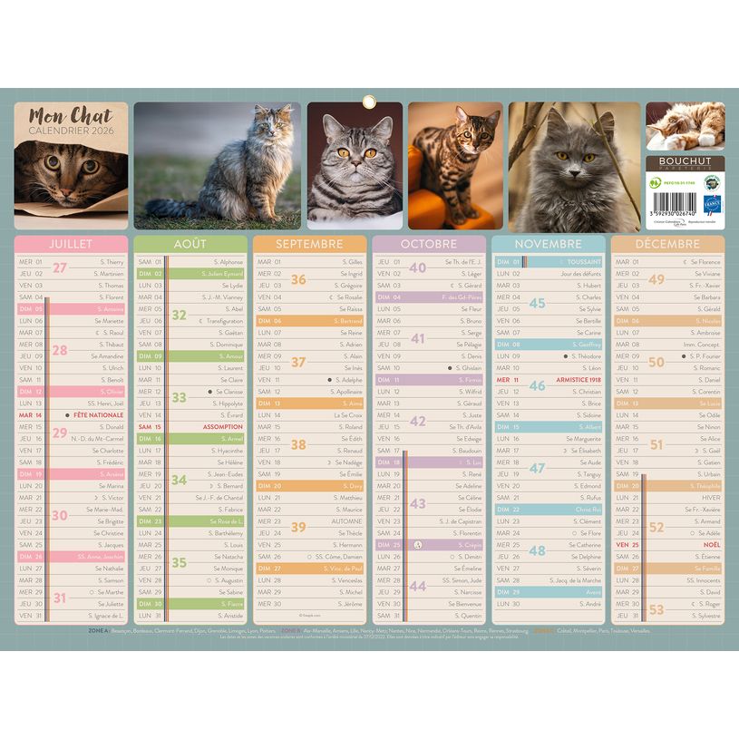 3592930026740-Bouchut Chats - Calendrier bancaire 6 mois par face - 32 x 42 cm--1