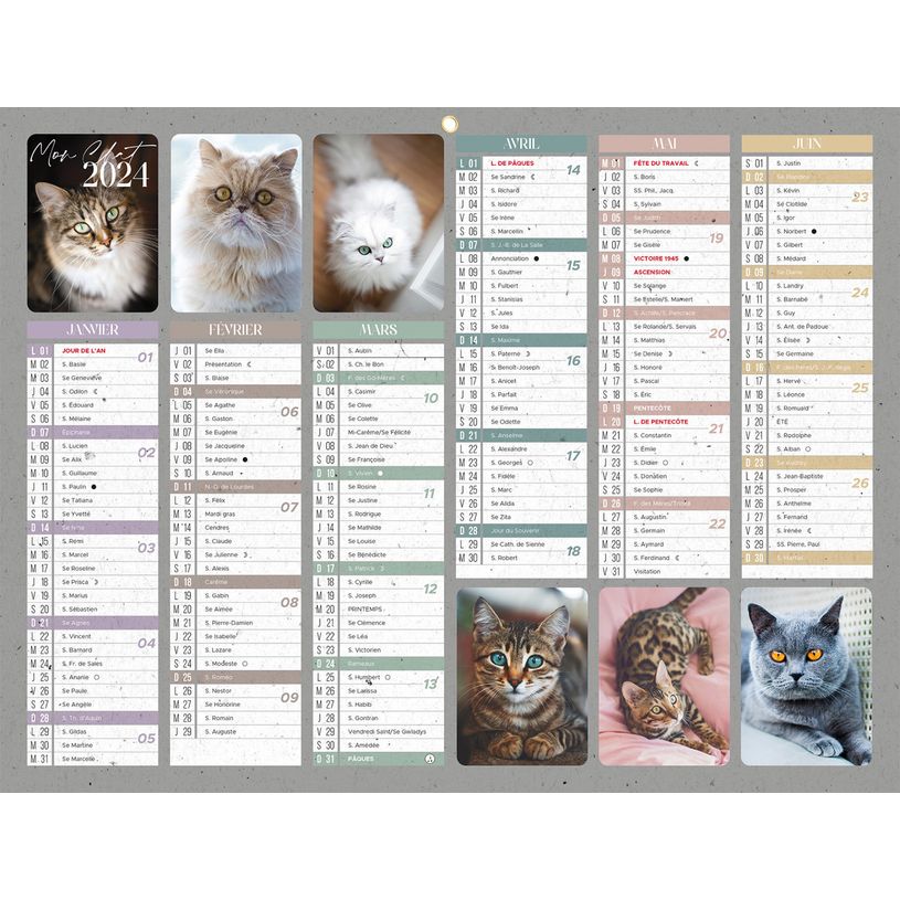 3592930026740-Bouchut Chats - Calendrier bancaire 6 mois par face - 32 x 42 cm-P_405121454_1-0