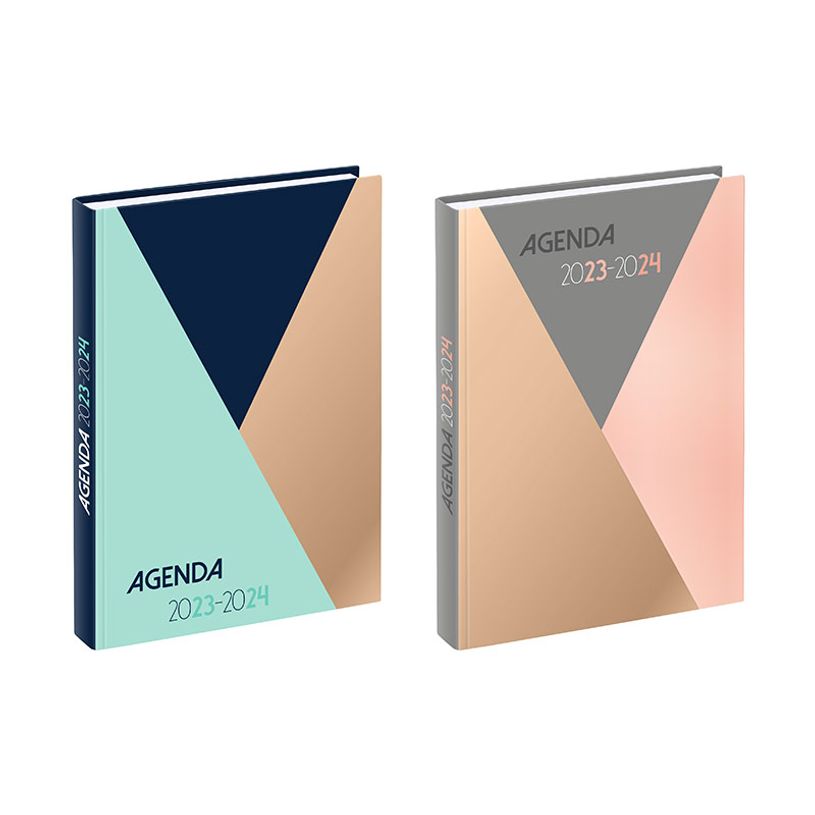 3135257453419-Agenda Color Block - 1 jour par page - 12 x 17 cm - 2 modèles disponibles - Viquel-P_405128696_1-0