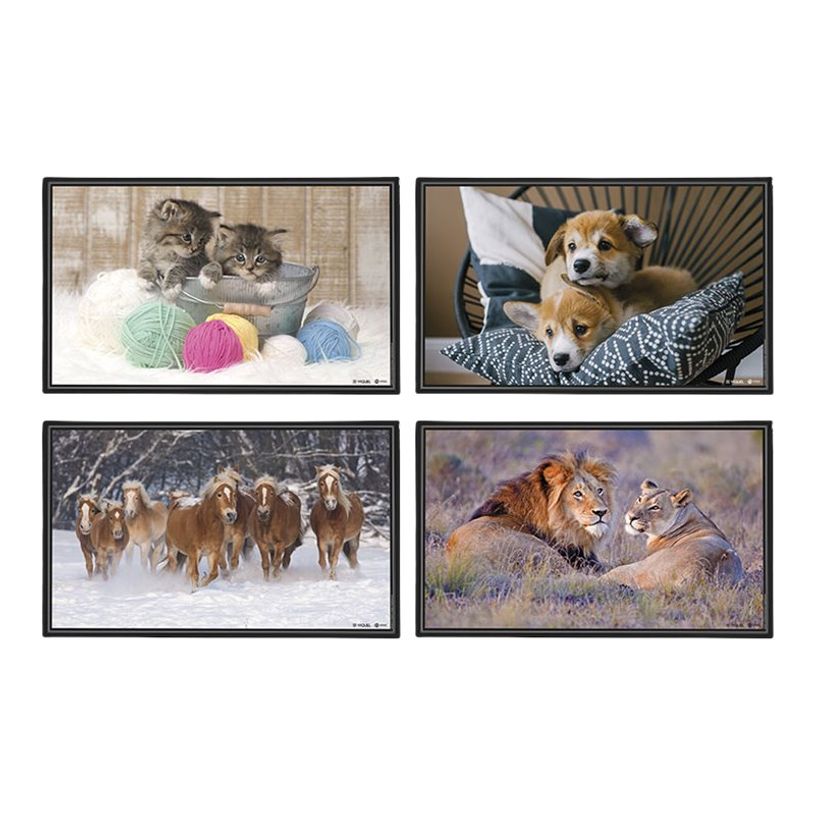 3135251306872-Viquel Fantaisie Animaux - Sous-main - 59,5 x 36,2 cm - PVC - disponible en différents co-P_405128742_1-0