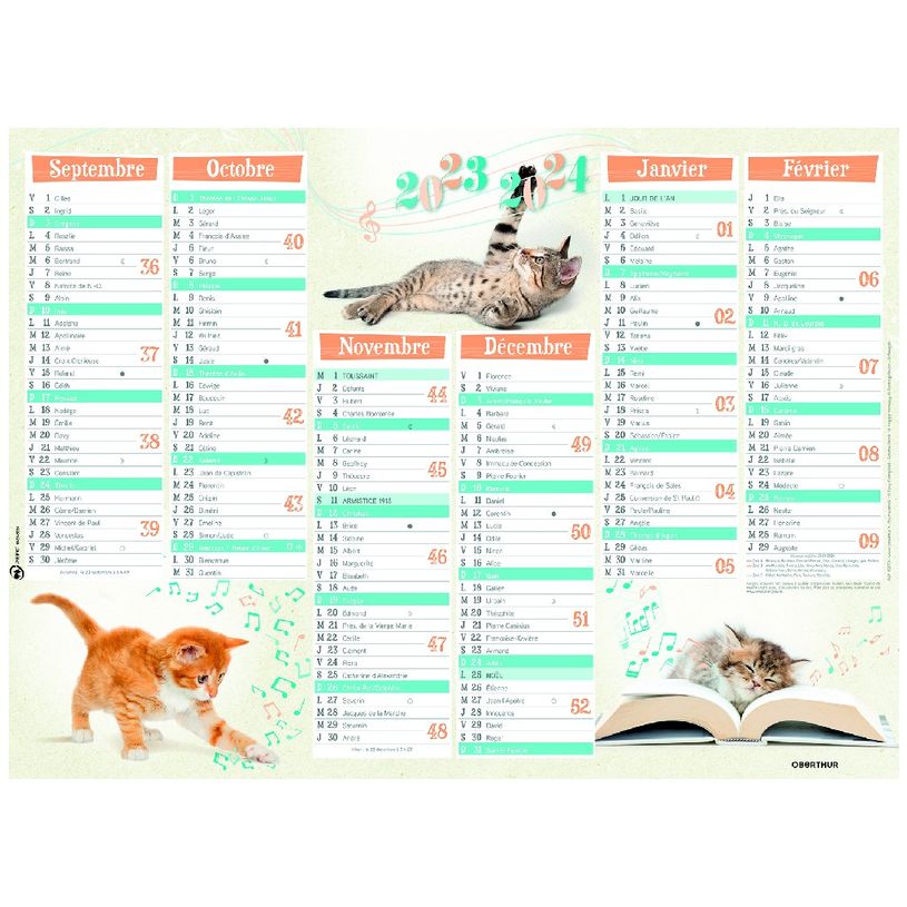 3664447138541-Calendrier Chatons - 7 mois par face - 40,5 x 55 cm - Oberthur-P_405132157_1-0