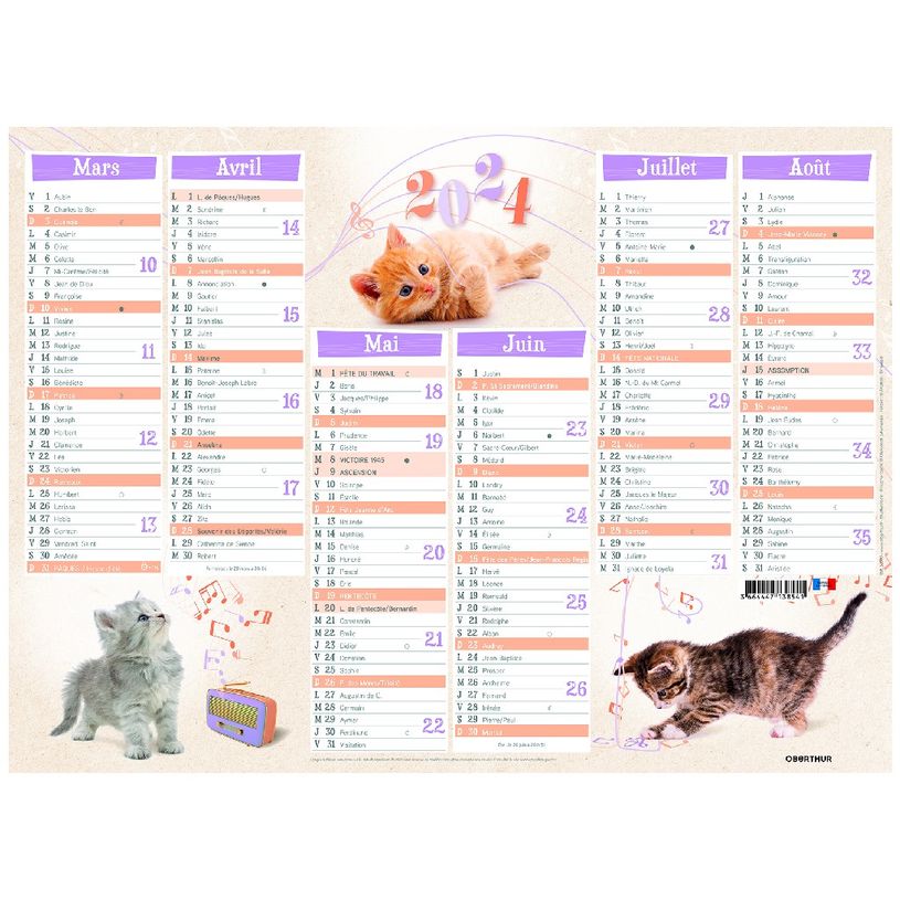 3664447138541-Calendrier Chatons - 7 mois par face - 40,5 x 55 cm - Oberthur-P_405132157_2-1