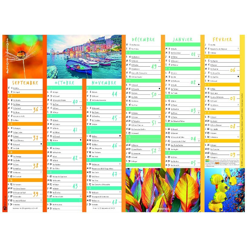 3664447138633-Calendrier Color Story - 7 mois par face - 40,5 x 55 cm - Oberthur-P_405132166_1-0