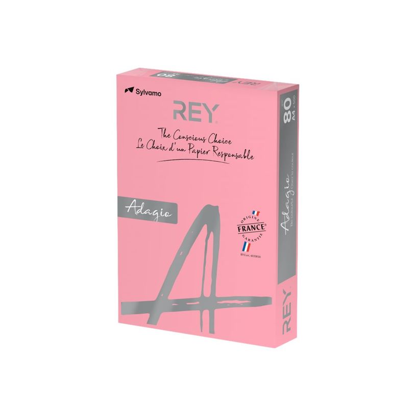 3368220125673-Rey Adagio - Papier couleur - A4 (210 x 297 mm) - 80 g/m² - Ramette de 500 feuilles - fra-P_405137792_1-0