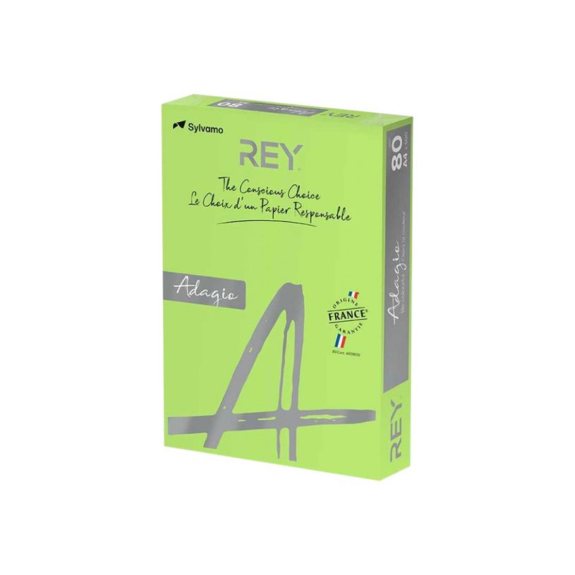 3368220125703-Rey Adagio - Papier couleur - A4 (210 x 297 mm) - 80 g/m² - Ramette de 500 feuilles - ver-P_405137793_1-0