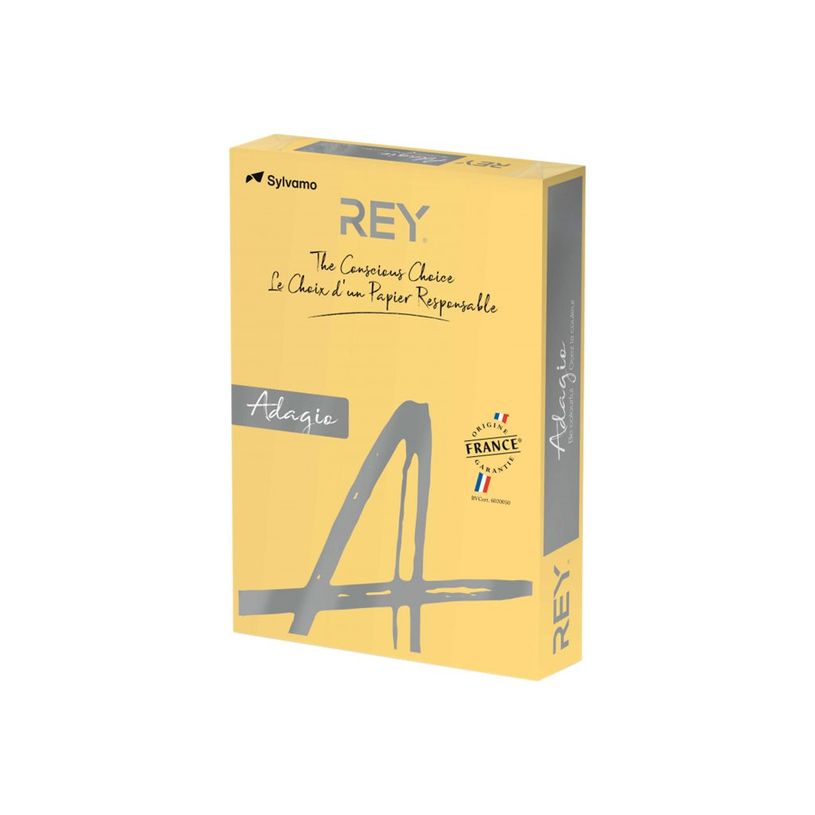 3368220140409-Rey Adagio - Papier couleur - A4 (210 x 297 mm) - 160 g/m² - Ramette de 250 feuilles - bo-P_405137821_1-0