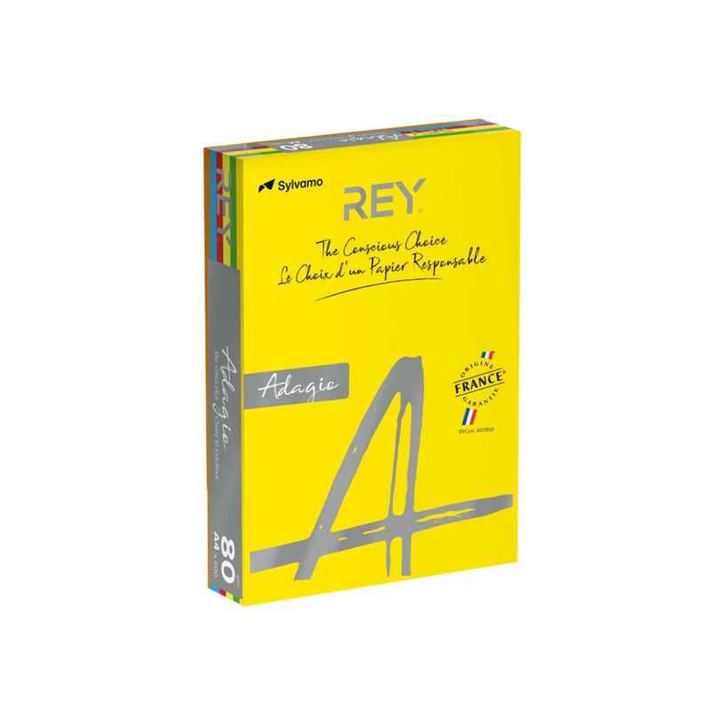 3141720137618-Rey Adagio - Papier couleur - A4 (210 x 297 mm) - 160 g/m² - Ramette de 250 feuilles - co-P_405137845_1-0