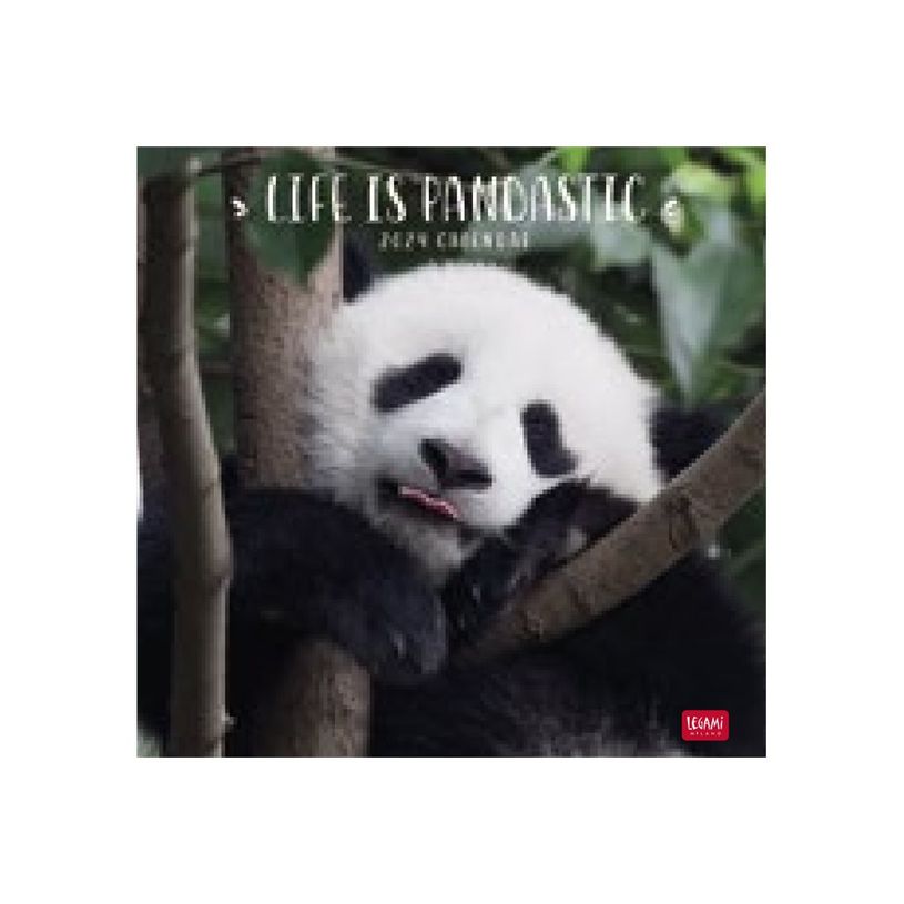 8051128758849-Legami - Calendrier mensuel 2024 - 30 x 29 cm - life is pandastic-P_405143037_2-0
