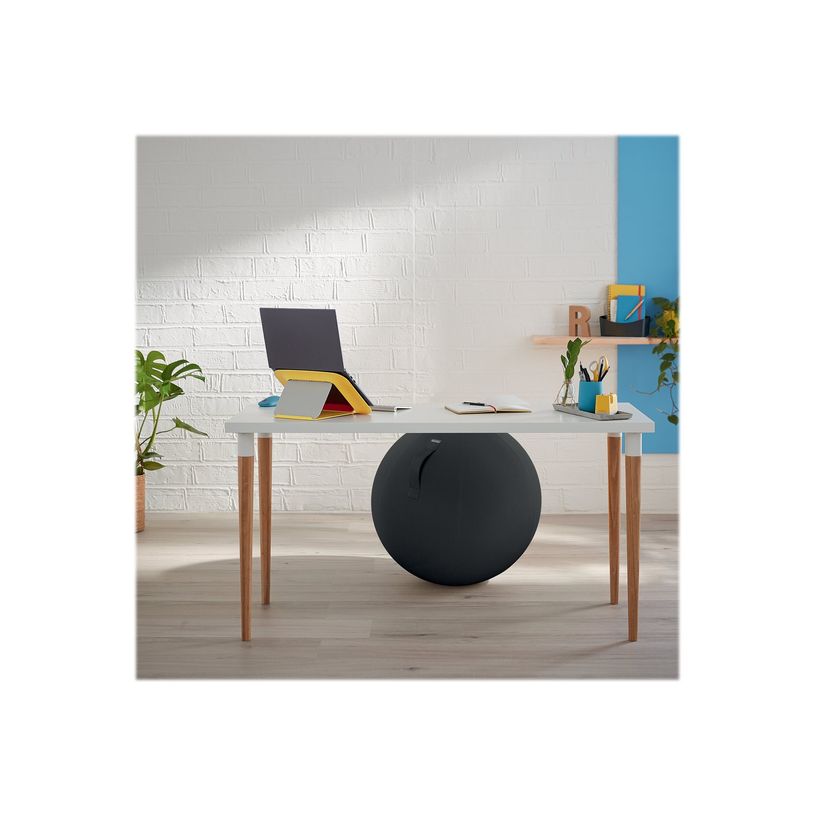 4002432129546-Leitz Ergo Cosy Active - Ballon d'assise - diamètre de 65 cm - gris velours-P_405148765_4-6
