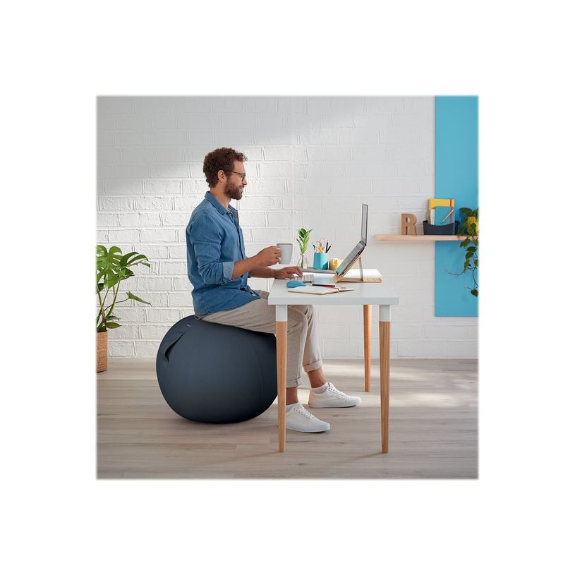 4002432129546-Leitz Ergo Cosy Active - Ballon d'assise - diamètre de 65 cm - gris velours-P_405148765_5-7