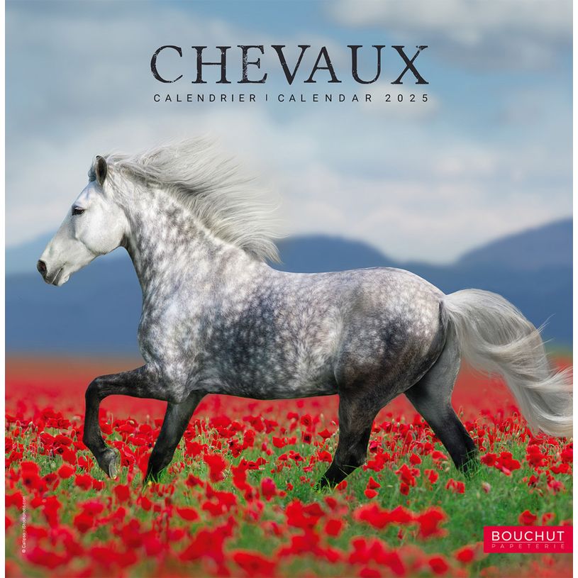 3592930027037-Calendrier illustré BOUCHUT 30 x 30 cm CHEVAL 70 %-P_405149836_1-0