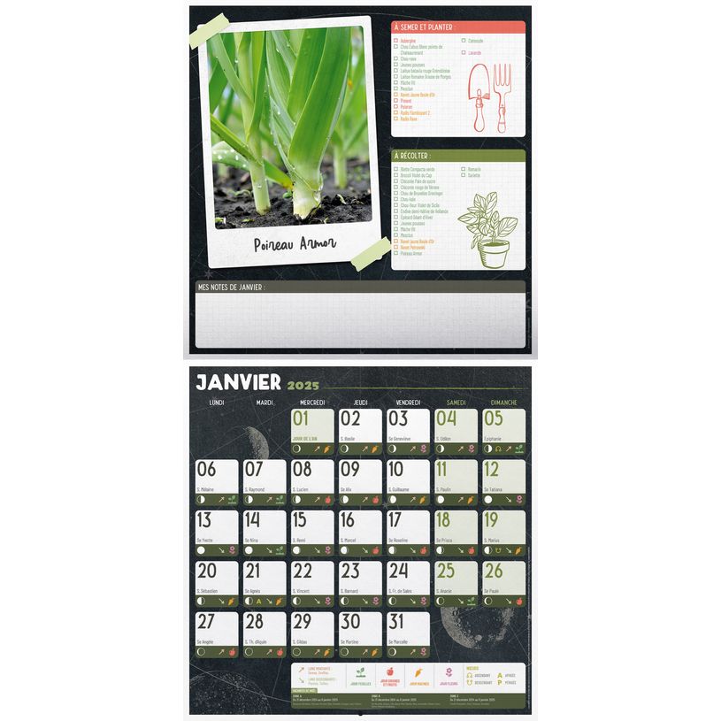 3592930027075-Calendrier illustré BOUCHUT 30 x 30 cm JARDINEZ 70 %-P_405149838_2-1