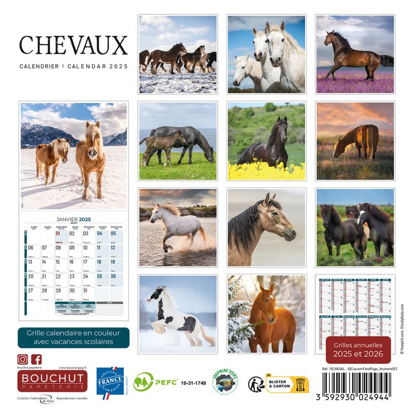 3592930027235-Calendrier illustré BOUCHUT 15 x 15 cm CHEVAL 70 %-P_405149840_3-2