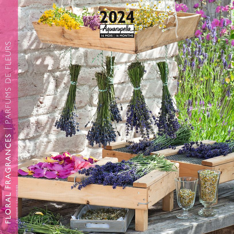 3494150148410-Calendrier mensuel 30 x 30 cm - Parfums de fleurs - 16 mois - Aquarupella-P_405150041_1-0
