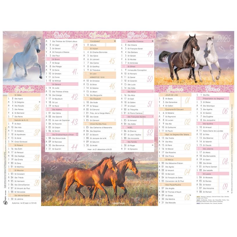 3664447165202-Calendrier Cheval - 6 mois par face - 40,5 x 55 cm - Oberthur-P_405161982_1-0