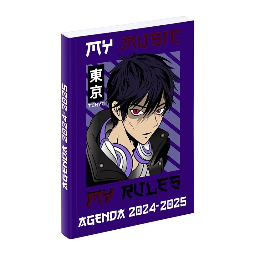 3135257463913-Agenda Manga - 1 jour par page - 11 x 16 cm - différents modèles disponibles - Viquel-P_405165307_2-1
