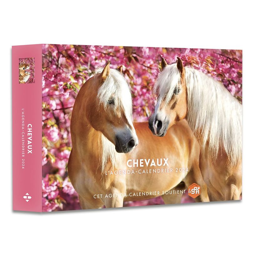 9782755667851-Agenda Calendrier Chevaux-P_405166323_1-0
