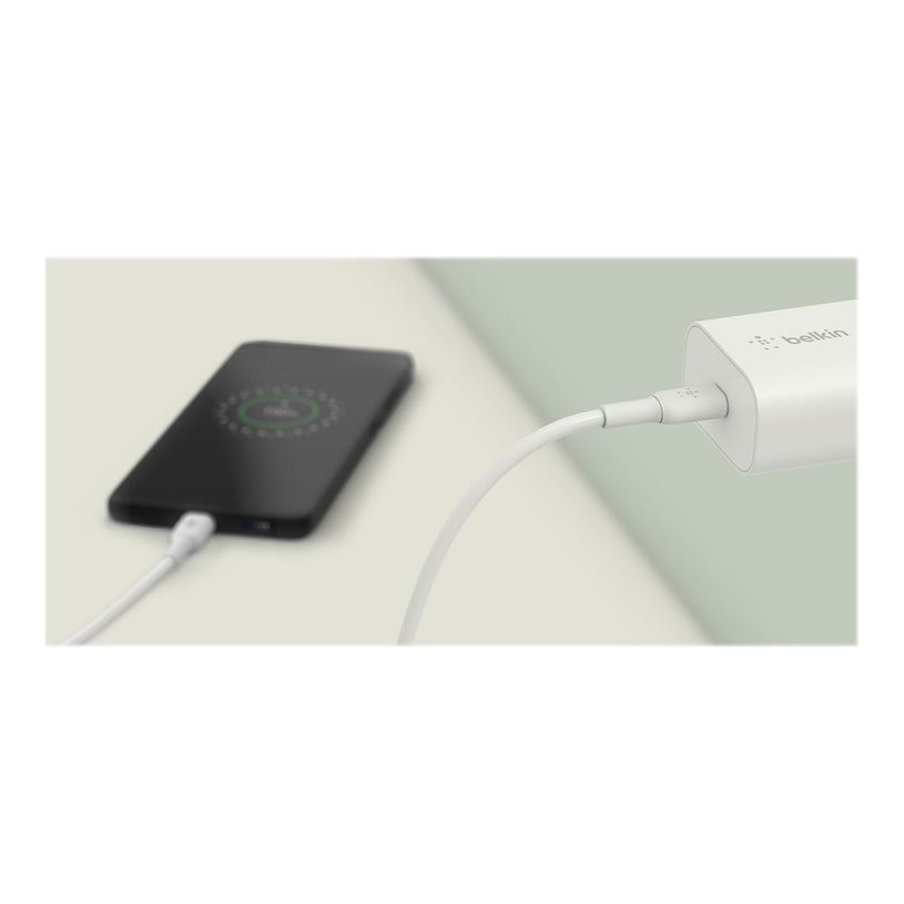 745883825066-Belkin BOOST CHARGE - Chargeur secteur rapide - USB-C 25W PD et PPS - BLANC -P_405167069_5-4